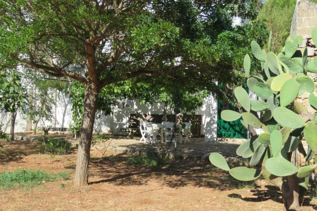 Villa Casa Colonica Gallipoli Exterior foto